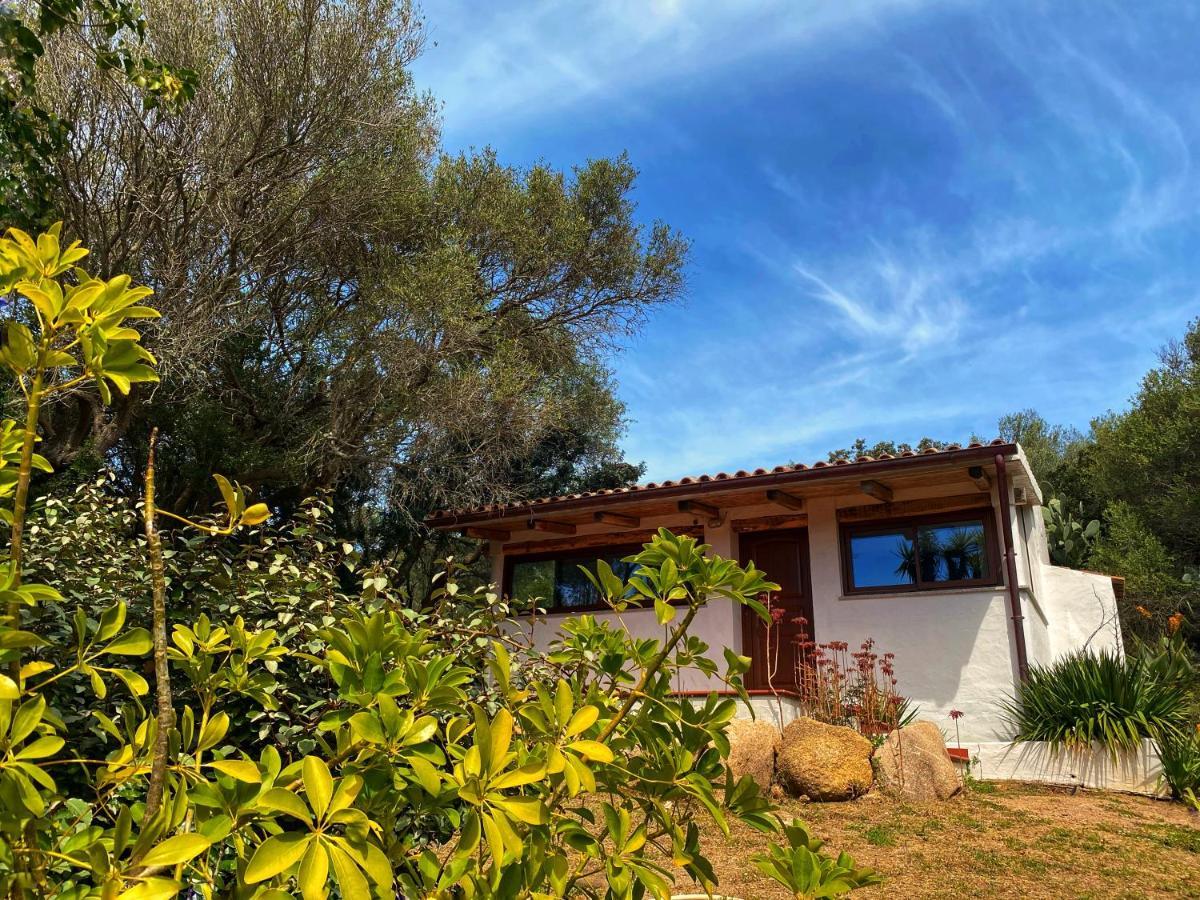 Casa Saltara (Adults Only) Villa Santa Teresa Gallura Ngoại thất bức ảnh