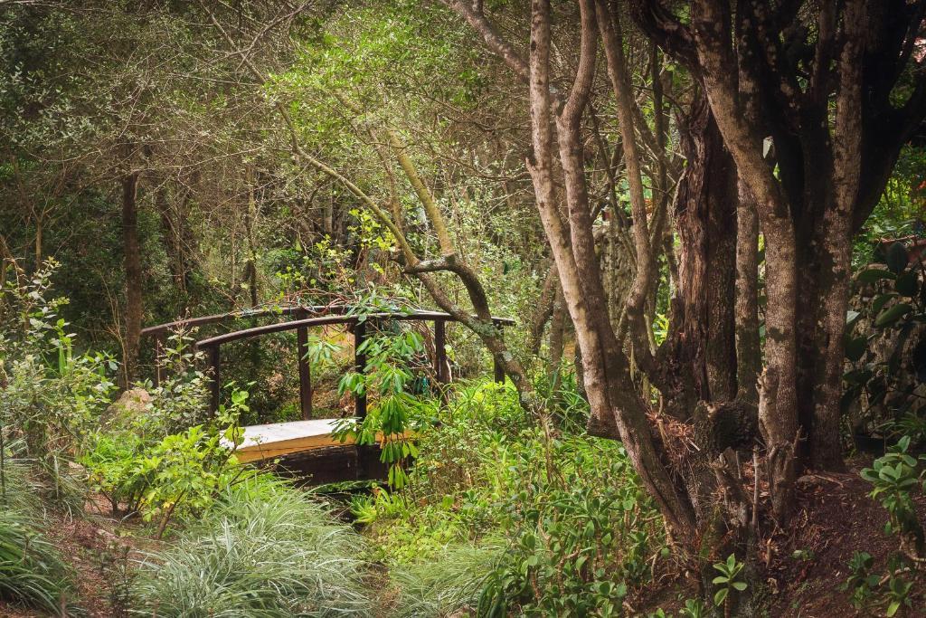 Casa Saltara (Adults Only) Villa Santa Teresa Gallura Ngoại thất bức ảnh