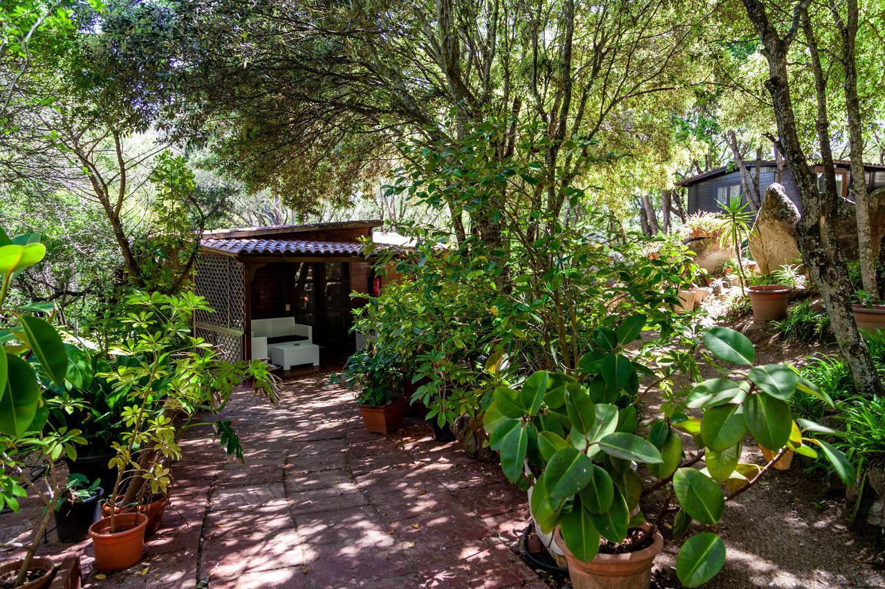 Casa Saltara (Adults Only) Villa Santa Teresa Gallura Ngoại thất bức ảnh