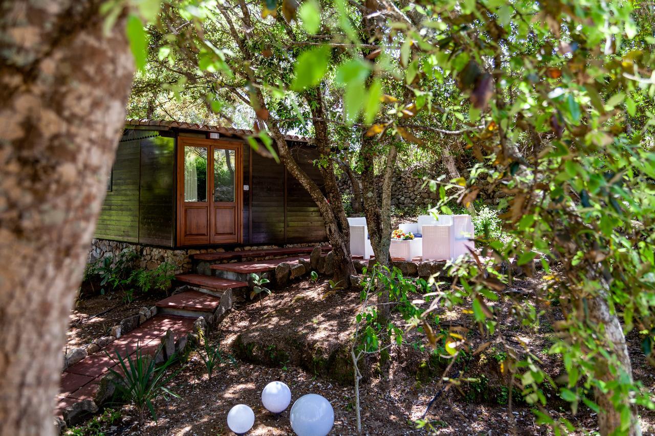 Casa Saltara (Adults Only) Villa Santa Teresa Gallura Ngoại thất bức ảnh