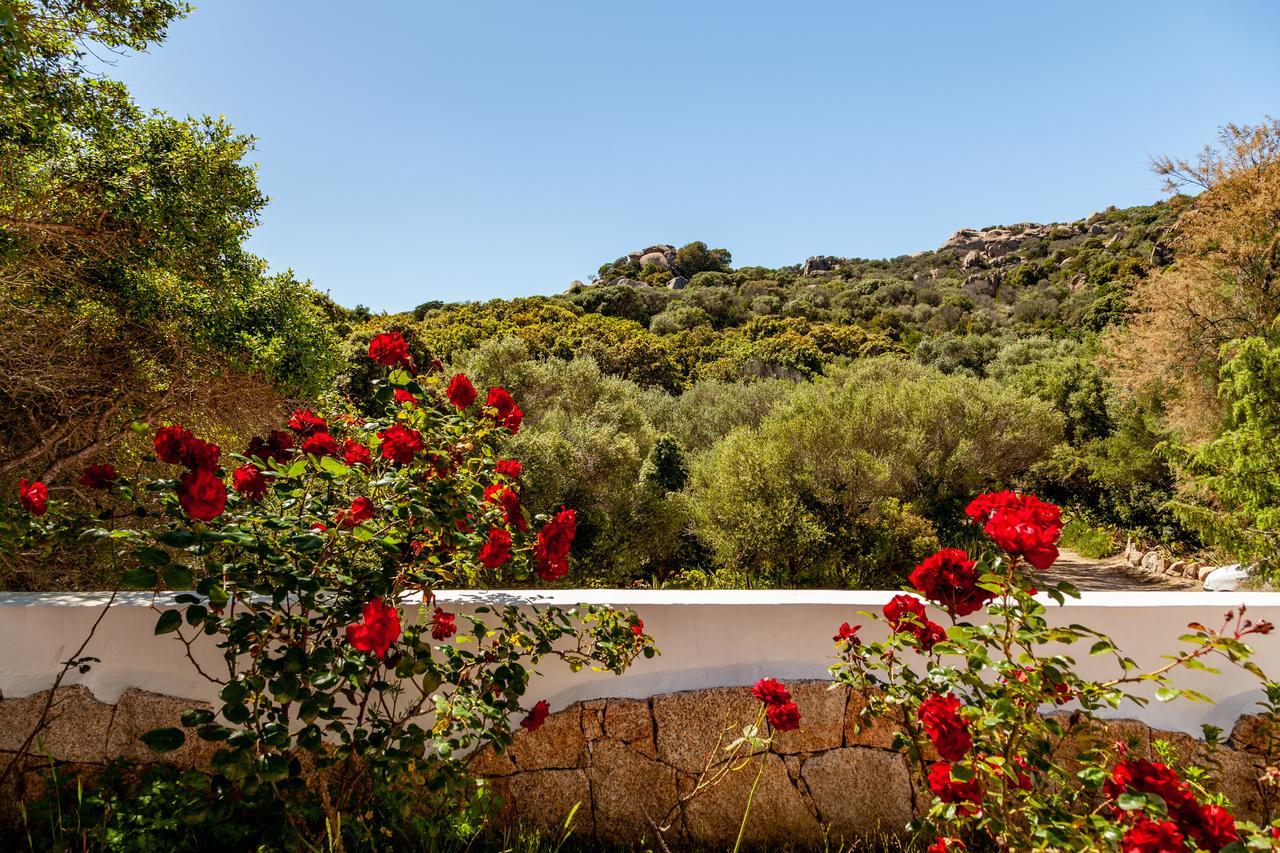 Casa Saltara (Adults Only) Villa Santa Teresa Gallura Ngoại thất bức ảnh
