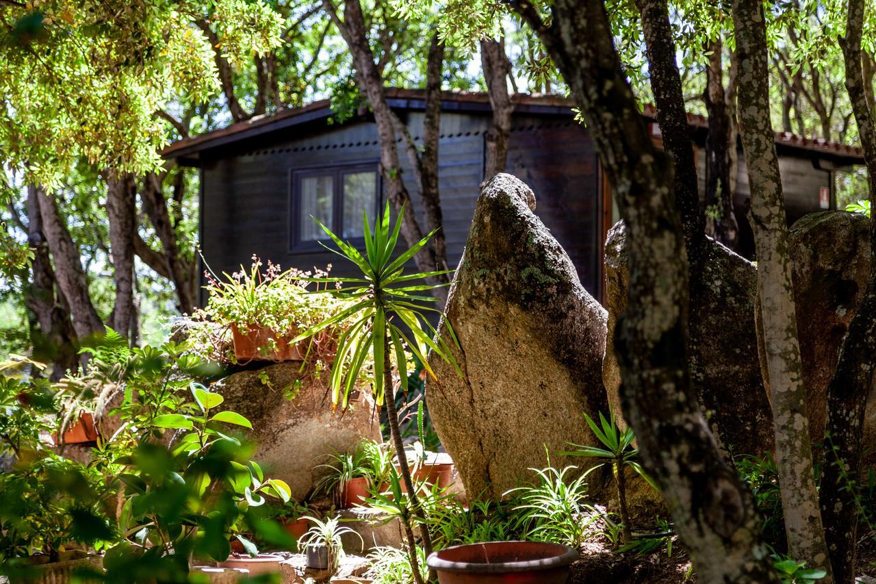 Casa Saltara (Adults Only) Villa Santa Teresa Gallura Ngoại thất bức ảnh