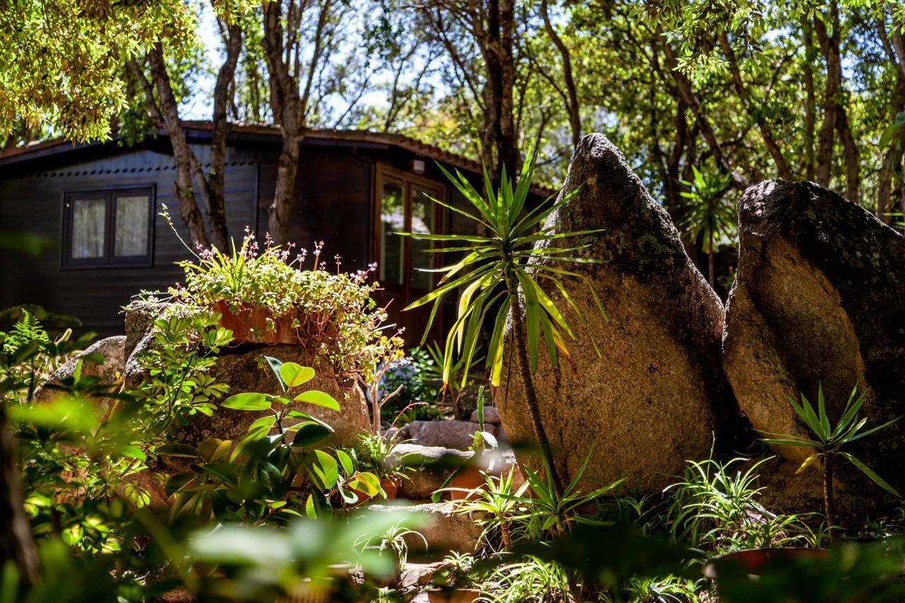Casa Saltara (Adults Only) Villa Santa Teresa Gallura Ngoại thất bức ảnh