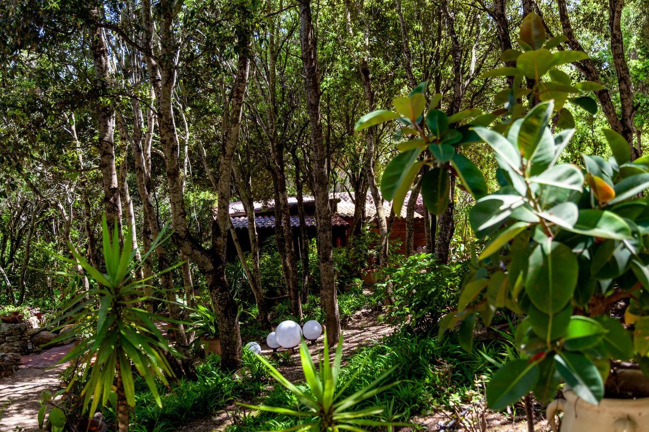 Casa Saltara (Adults Only) Villa Santa Teresa Gallura Ngoại thất bức ảnh