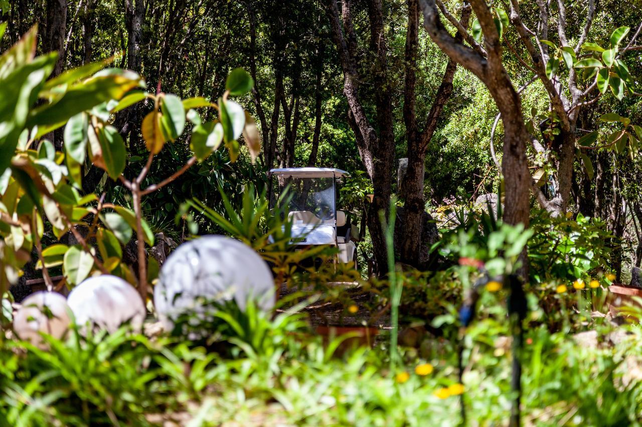 Casa Saltara (Adults Only) Villa Santa Teresa Gallura Ngoại thất bức ảnh